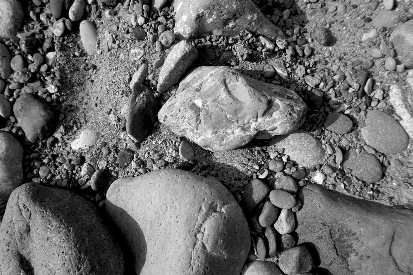 River stones in Big Bend National Park