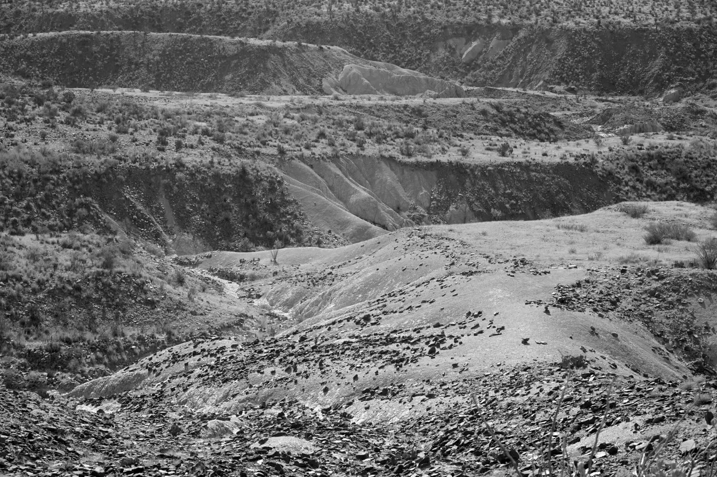 Layered desert terrain in Big Bend National Park